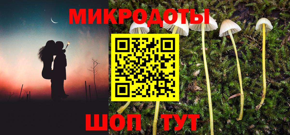 Курск  Галлюциногенные грибы Psilocybe  Вход с VPN 